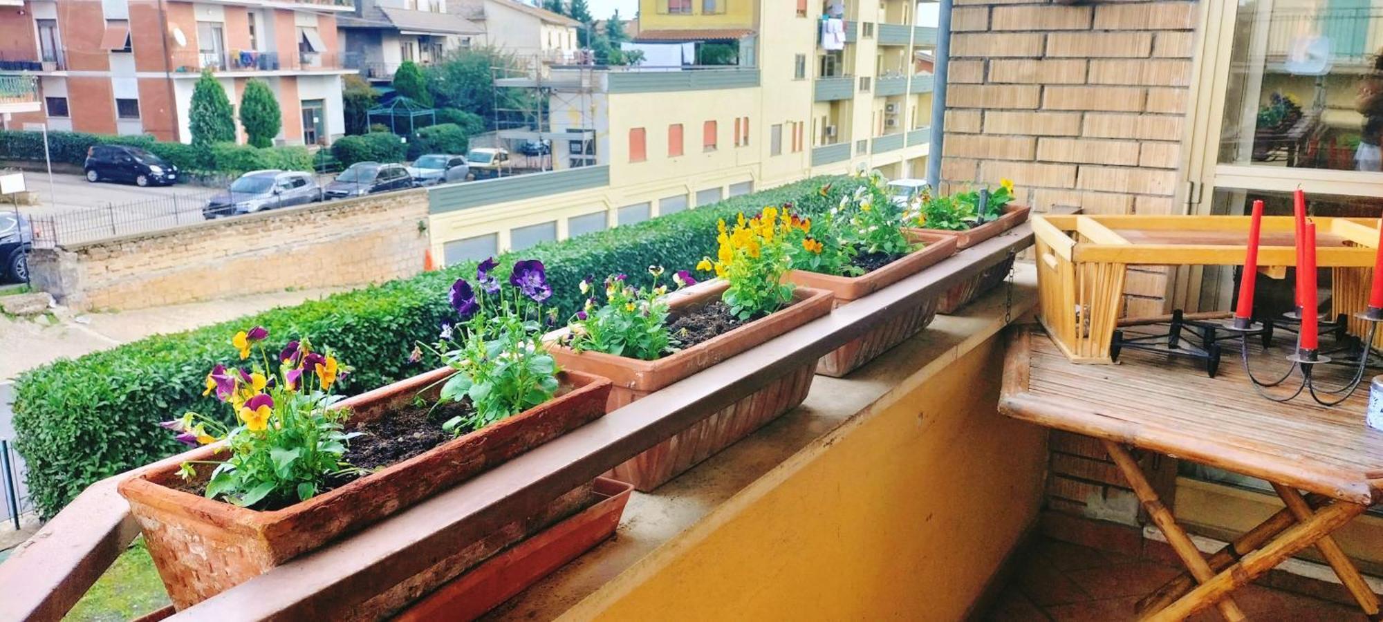 La Casita B&B Bagnoregio Eksteriør billede
